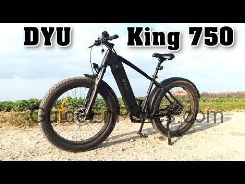 DYU King fiche technique et avis